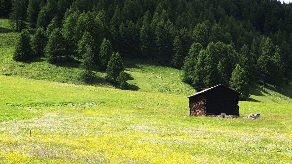 Mountain Appartamento Livigno