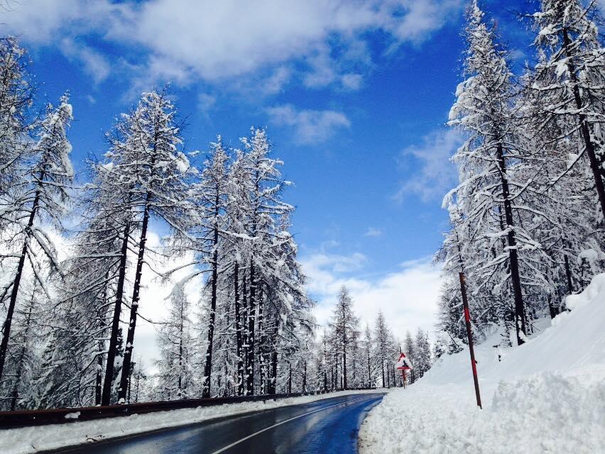 Appartamento Mountain Livigno